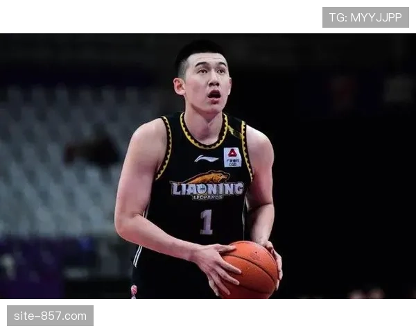 辽宁付豪末节关键表现 内线替补贡献不可或缺